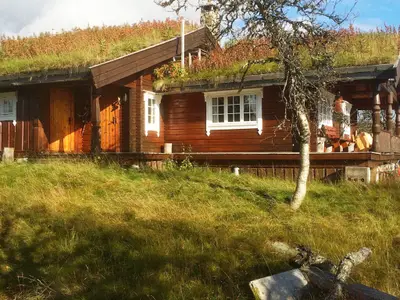 Outdoor Outdoor