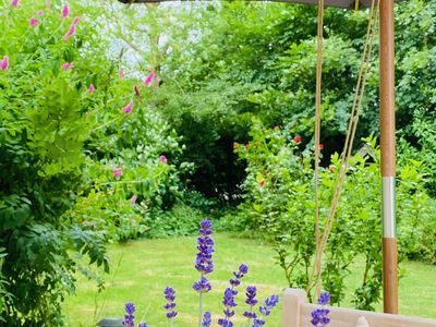 Blick in den Garten