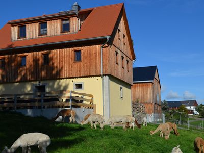 Ferienhaus mit Terrasse