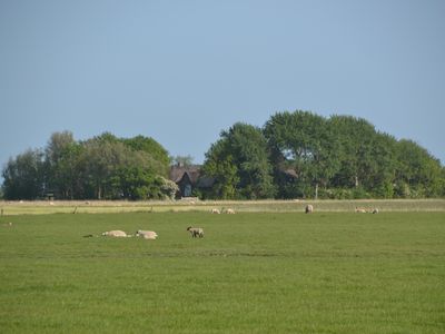 Ausblick über die Marsch