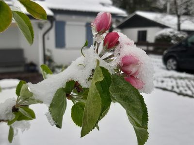 Winter und Frühling