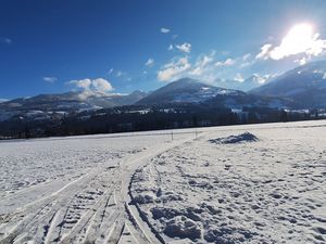 Chalet Lärchforst, Ausblick im Winter 1