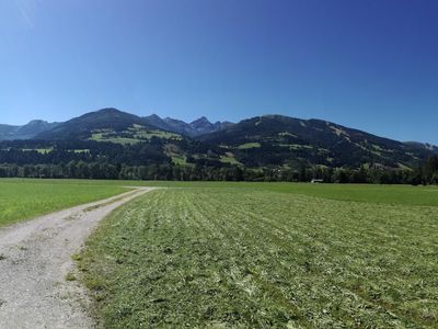 Chalet Lärchforst, Ausblick im Sommer 1