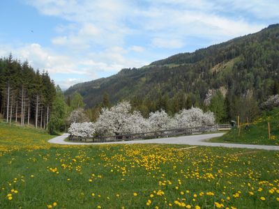 Aussicht von der Umundumhütte auf den Obstgarten.