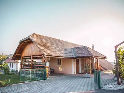 Ferienhaus für 5 Personen (70 m²) in Mirna 1/10