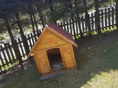 Ferienhaus für 4 Personen (70 m²) in Hattendorf 8/10