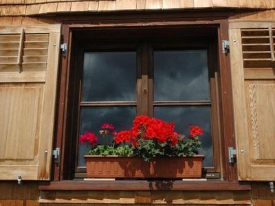 Außenansicht des Gebäudes. Blumen am Fensterbrett