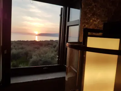 Ausblick aus dem Fenster