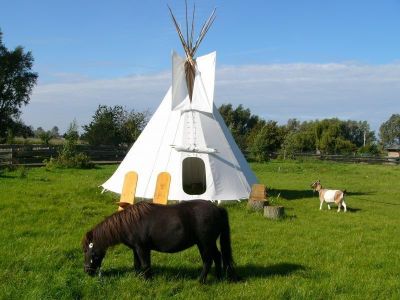 Tipi vor der Weide