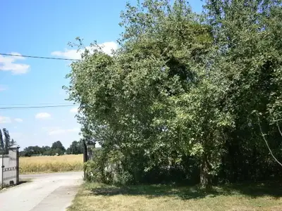 Bild 10