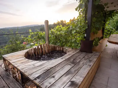 Ferienhaus für 4 Personen (70 m²) in Šentvid pri Stični 9/10