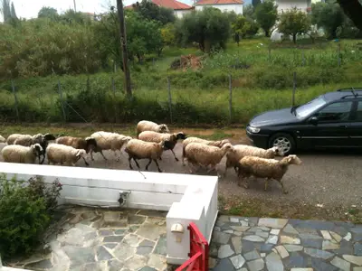 Bild 2