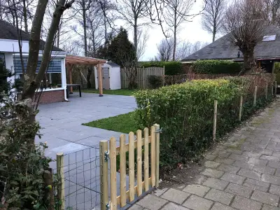 Bild 6