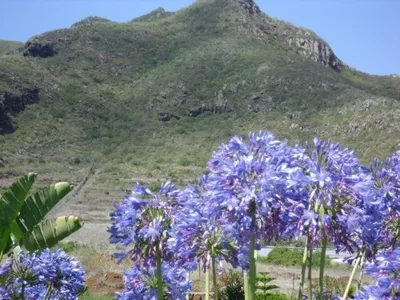 Aussicht auf den Picacho de Los Lázaros