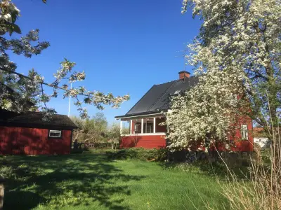 Garten. Blick auf Terrasse