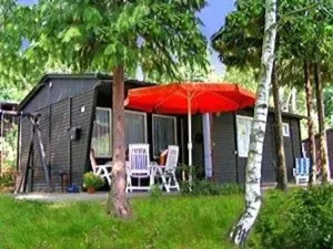 Ferienhaus für 4 Personen (48 m²) in Prossen