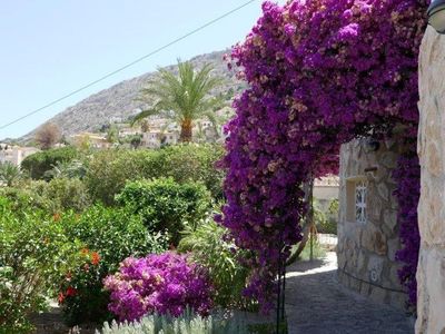 Garten. Weg am Haus vom Pool