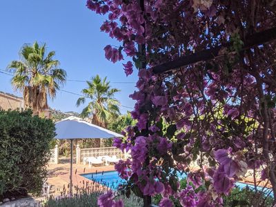 Garten. Weg am Haus zum Pool