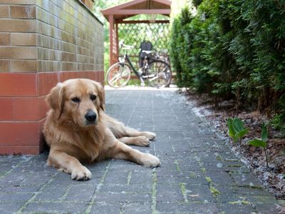 Außenansicht des Gebäudes. Hunde sind herzlich Willkommen