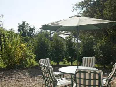 Die Terrasse mit mittlerweile zugewachsener Hecke