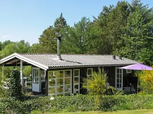 Ferienhaus für 4 Personen (50 m²) in Nørre Ørum