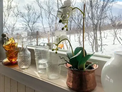 Indoor
