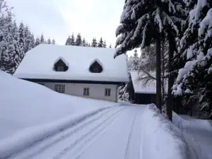 Ferienhaus für 10 Personen in Rettenegg