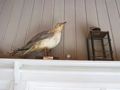 Indoor