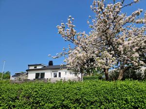 Ferienhaus für 6 Personen (50 m²)