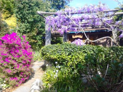 Pergola im Frühling