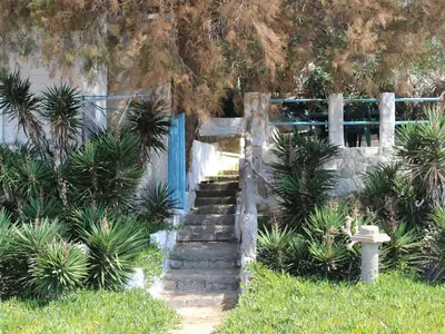 Ferienhaus für 4 Personen (40 m²) in Pyrgos 7/9