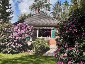 Ferienhaus für 4 Personen (65 m&sup2;)