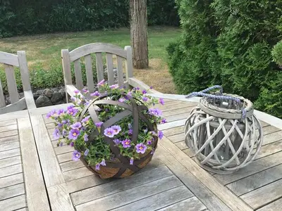 Ferienhaus für 3 Personen (59 m²) in Mözen 5/10