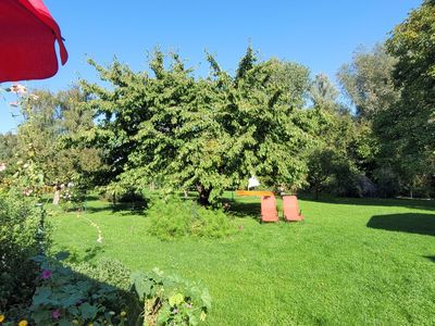 Gartenblick