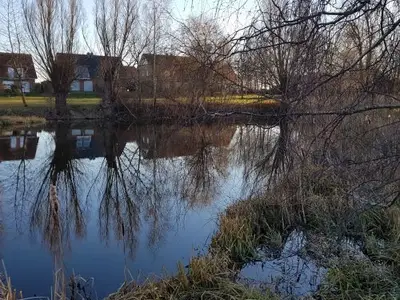 Ferienhaus für 6 Personen (83 m²) in Kaltenhof 5/10