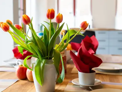 Ferienhaus für 4 Personen (100 m²) in Ekenis 2/10