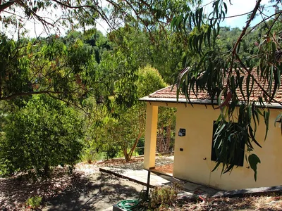 Ferienhaus für 4 Personen (70 m²) in Dolcedo 2/10