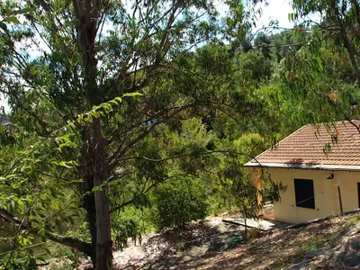 Ferienhaus für 4 Personen (70 m²) in Dolcedo 9/10