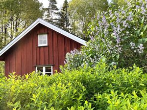 Ferienhaus für 3 Personen (45 m²)