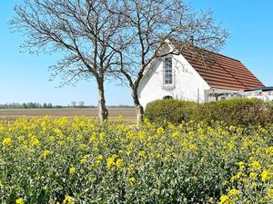 Ferienhaus für 6 Personen (86 m²)