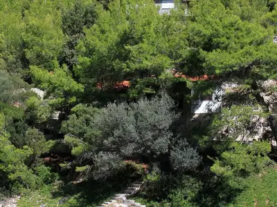 Ferienhaus für 5 Personen in Korčula 2/10