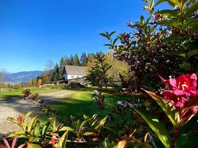 Ferienhaus für 4 Personen (60 m²) in Teufenbach 2/10