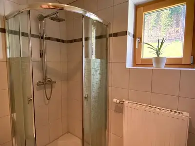 Ferienhaus für 4 Personen (60 m²) in Teufenbach 8/10