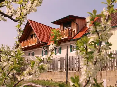 Ferienhaus für 2 Personen (50 m²) in Markt Hartmannsdorf 8/10