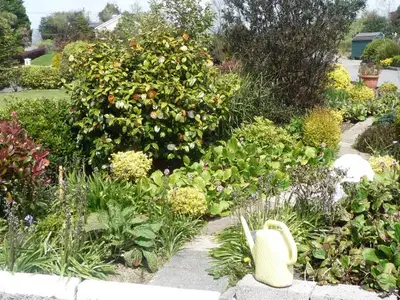 Bild 10