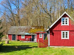 Ferienhaus für 6 Personen (65 m²)