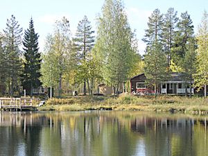 Ferienhaus für 6 Personen (60 m²)