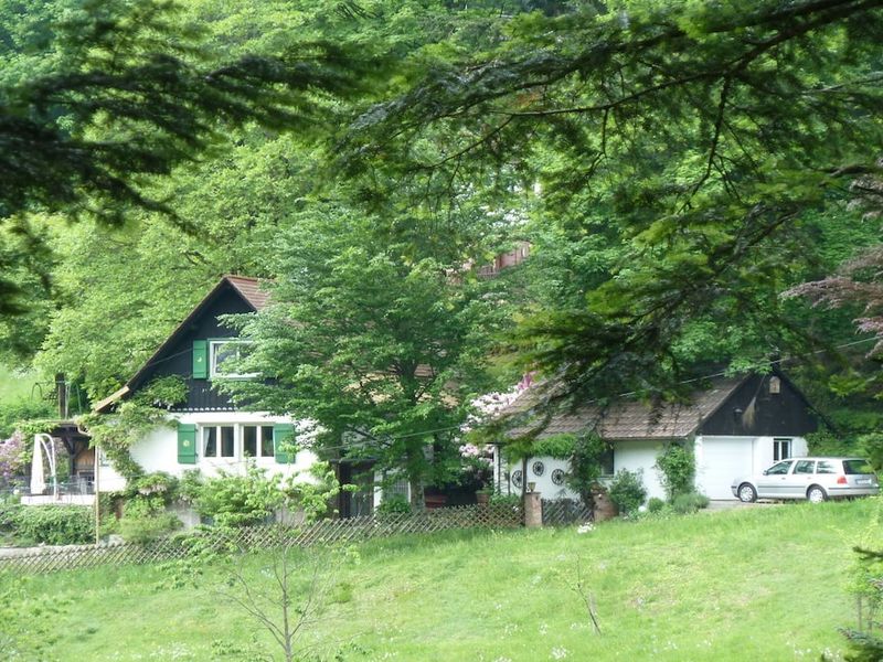 23980844-Ferienhaus-4--800x600-2