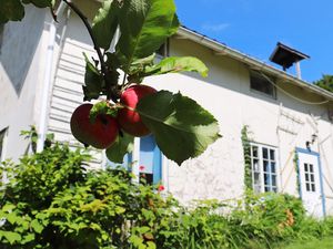 Ferienhaus für 6 Personen (70 m²)