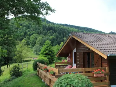 ViewSummer